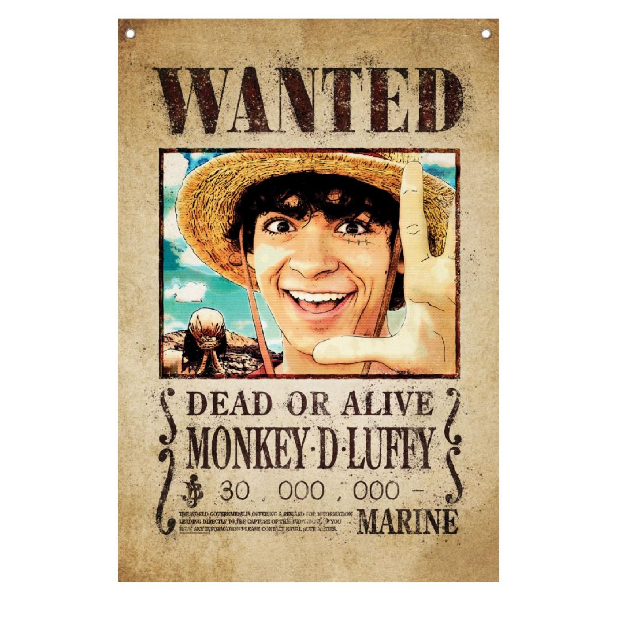 One Piece Wand Banner Monkey D. Luffy Netflix 125x85cm